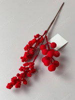 Гілка з оксамитовими ягодами