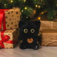 Котик Фелікс 