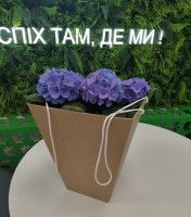 Переноска для квітів крафтова