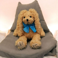 Щенок Плуто